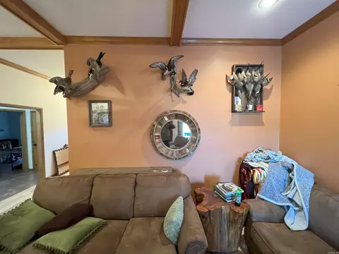 Living - 7416 Camden Cutoff Rd, Pine Bluff, AR 71603 photo 2 of 3