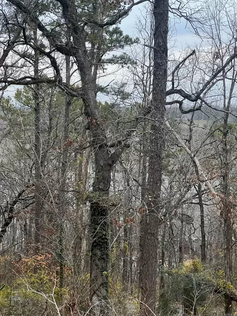 3 Tanager, Conway, AR 72032 photo 19