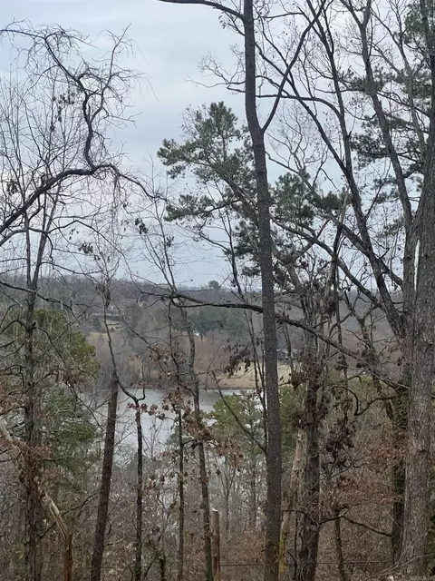3 Tanager, Conway, AR 72032 photo 3