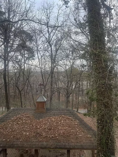 3 Tanager, Conway, AR 72032 photo 18