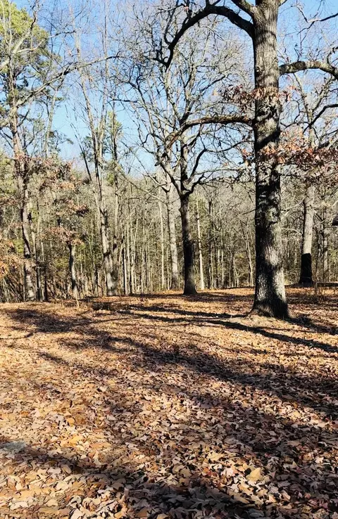 1860 Quitman Rd, Quitman, AR 72131 photo 4