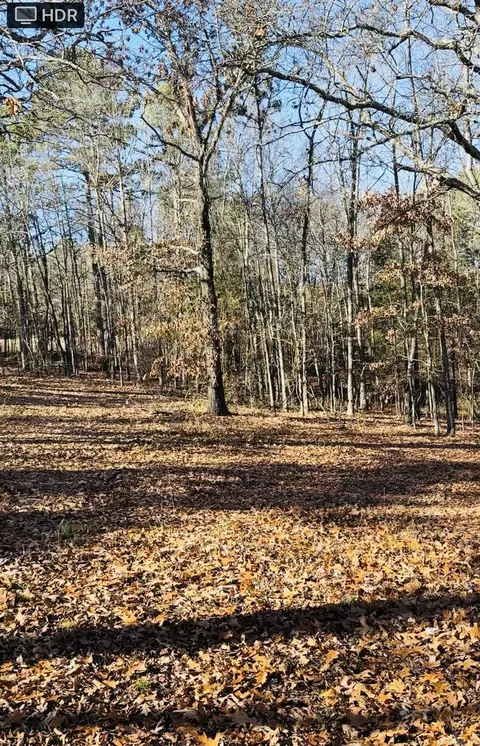 1860 Quitman Rd, Quitman, AR 72131 photo 3