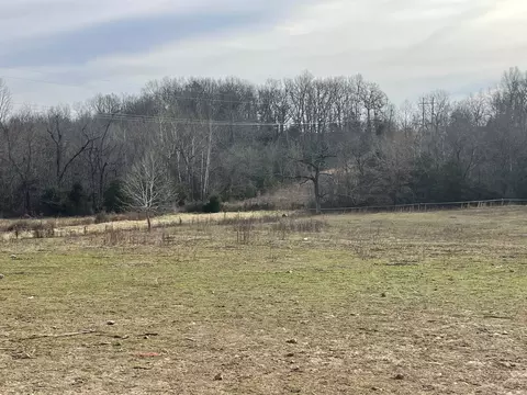 84 Corinth Loop, Ash Flat, AR 72513 photo 34