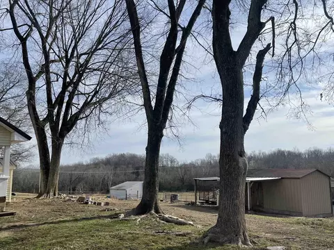 84 Corinth Loop, Ash Flat, AR 72513 photo 42