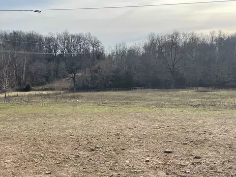 84 Corinth Loop, Ash Flat, AR 72513 photo 33