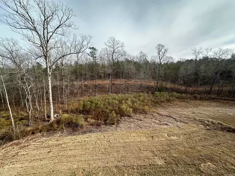 Exterior - 657 Lucy Ln, Alexander, AR 72002 photo 5 of 7