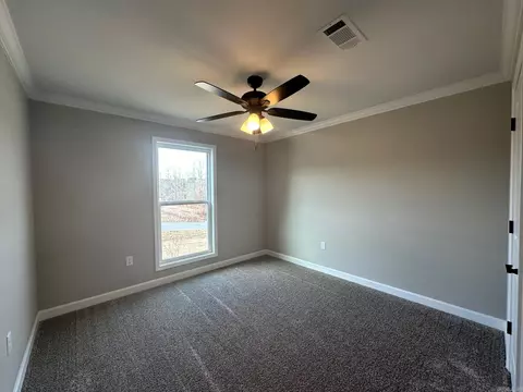 Other - 657 Lucy Ln, Alexander, AR 72002 photo 6 of 15