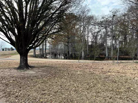 460 Harmony Rd, Dumas, AR 71639 photo 5