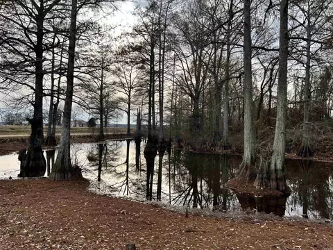 460 Harmony Rd, Dumas, AR 71639 photo 4