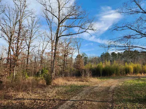 91 Rainbow Dr, Norman, AR 71960 photo 15