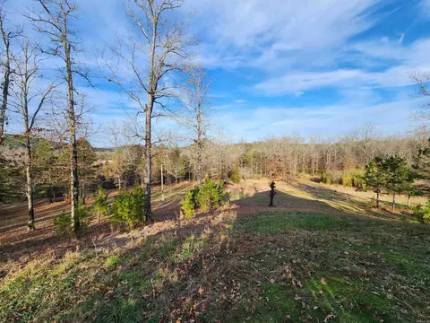 91 Rainbow Dr, Norman, AR 71960 photo 16