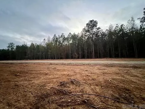 20 Timber Lane, Ward, AR 72176 photo 1
