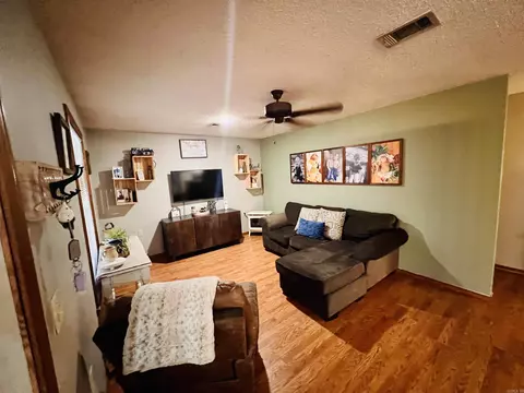 9 Concho, Edgemont, AR 72044 photo 10