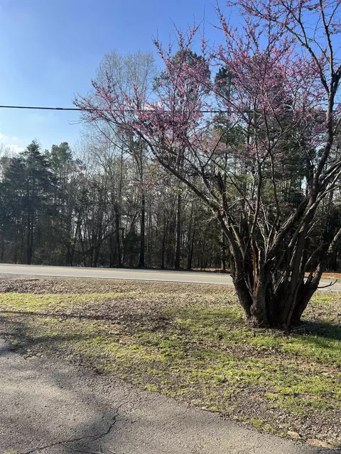9 Concho, Edgemont, AR 72044 photo 46