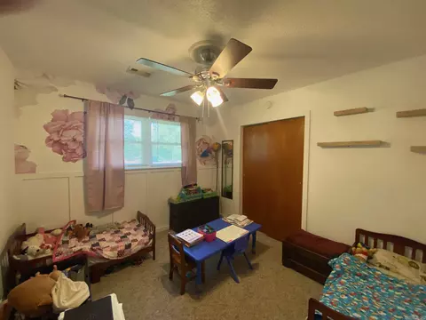 305 Milam St, Ward, AR 72176 photo 27