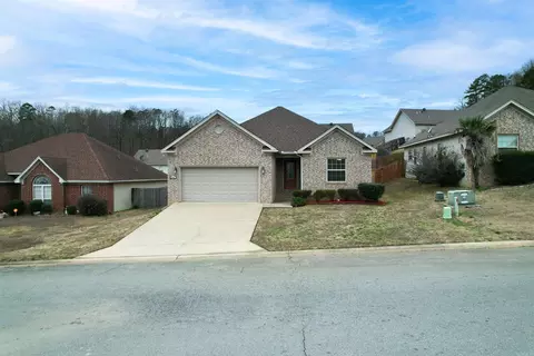 1003 Clinton Ct, Alexander, AR 72002 photo 1