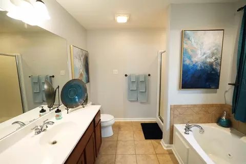1003 Clinton Ct, Alexander, AR 72002 photo 9