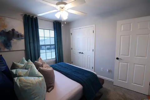 1003 Clinton Ct, Alexander, AR 72002 photo 8