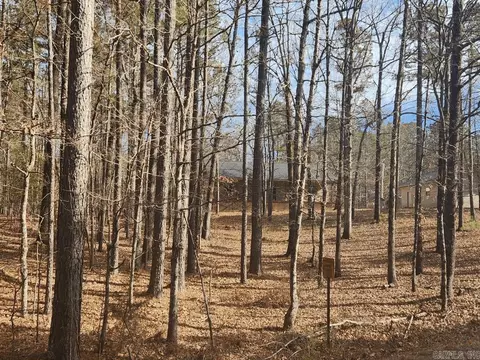 182 Silver Hls, Mount Ida, AR 71957 photo 9
