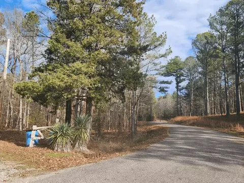182 Silver Hls, Mount Ida, AR 71957 photo 13