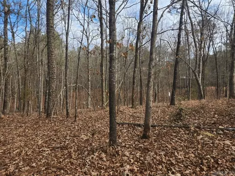 182 Silver Hls, Mount Ida, AR 71957 photo 18