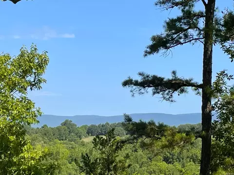319 Salmon Ln, Watson, OK 74963 photo 39