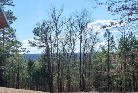 Other - 319 Salmon Ln, Watson, OK 74963 photo 6 of 6