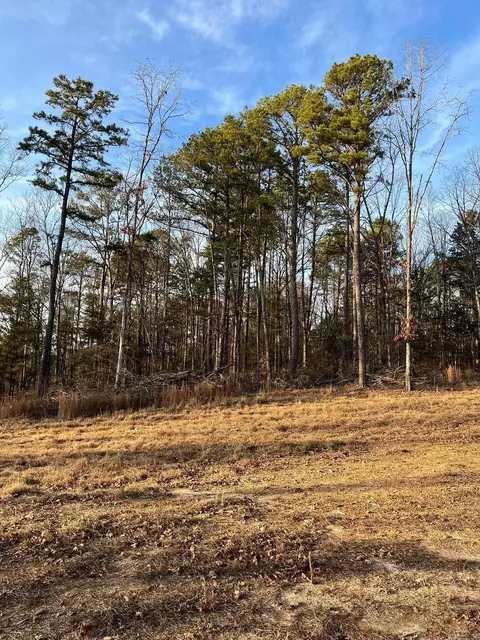 558 Pebble Dr, Clinton, AR 72031 photo 3
