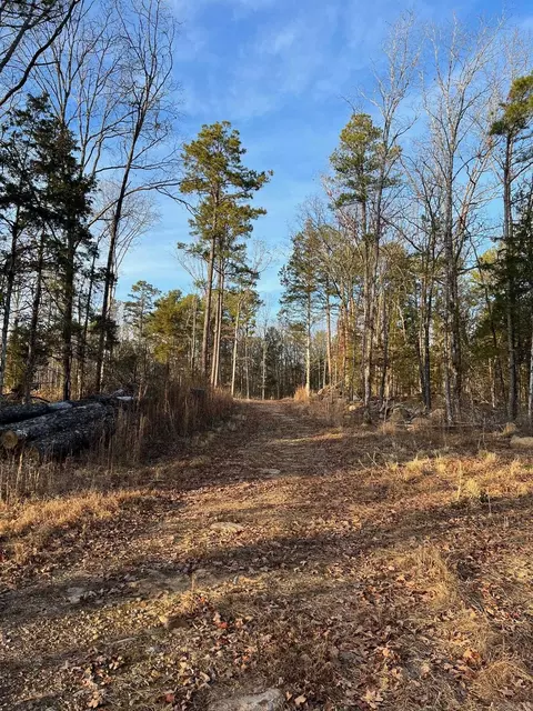 558 Pebble Dr, Clinton, AR 72031 photo 2