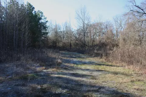 000 Gibb Anderson Rd, Pine Bluff, AR 71601 photo 8