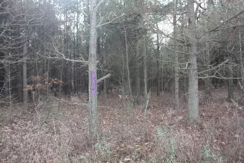 000 Gibb Anderson Rd, Pine Bluff, AR 71601 photo 6