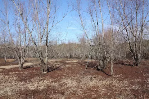 000 Gibb Anderson Rd, Pine Bluff, AR 71601 photo 13