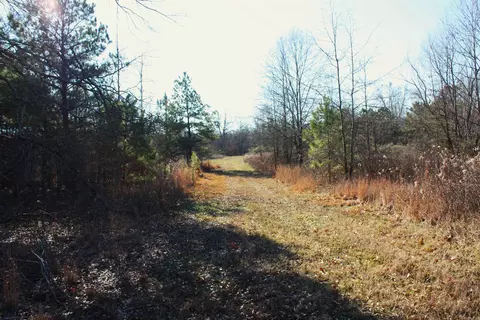 000 Gibb Anderson Rd, Pine Bluff, AR 71601 photo 9