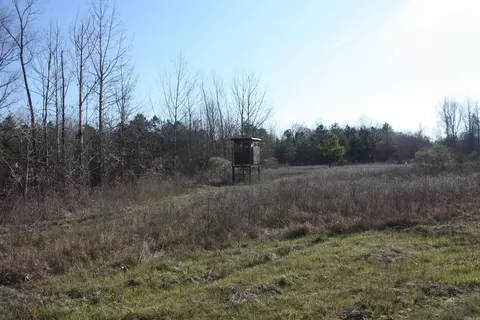 000 Gibb Anderson Rd, Pine Bluff, AR 71601 photo 11