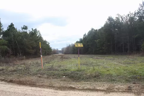 000 Gibb Anderson Rd, Pine Bluff, AR 71601 photo 5