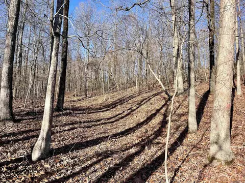 722 Dabney Rd, Jerusalem, AR 72080 photo 47