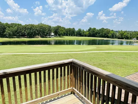 95 Firethorne Ln, Melbourne, AR 72556 photo 29