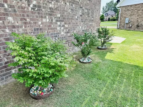 95 Firethorne Ln, Melbourne, AR 72556 photo 35