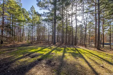 616 Joseph Dr, Alexander, AR 72002 photo 38