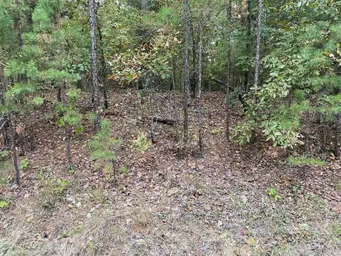12 Loyola Pl, Hot Springs Village, AR 71909