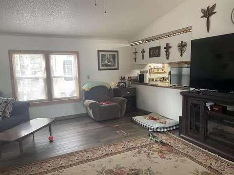 533 W Blue Cove Loop, Mountain View, AR 72560 photo 13
