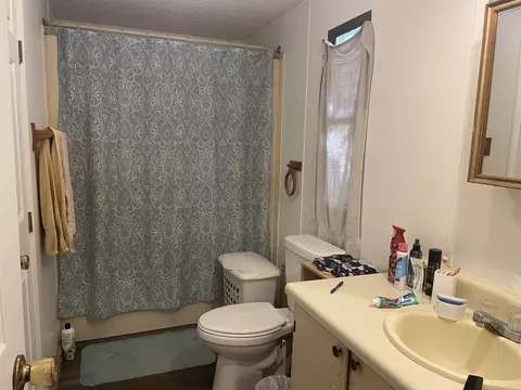 533 W Blue Cove Loop, Mountain View, AR 72560 photo 10
