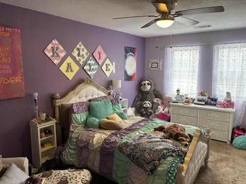 116 Kali Dr, Clinton, AR 72031 photo 10