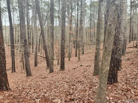 150 Harbor Oaks Dr, Mount Ida, AR 71957 photo 34