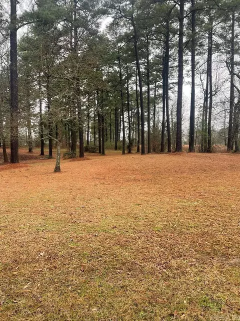 2204 Buckwright Rd, Ashdown, AR 71822 photo 6