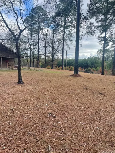 2204 Buckwright Rd, Ashdown, AR 71822 photo 26