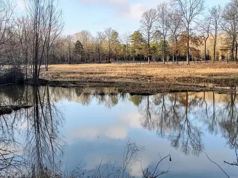 32 Avalon Cv Cv, Conway, AR 72032 photo 45