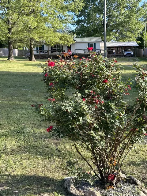 108 Bohannon Dr, Marshall, AR 72650 photo 1