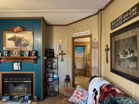 108 Bohannon Dr, Marshall, AR 72650 photo 11
