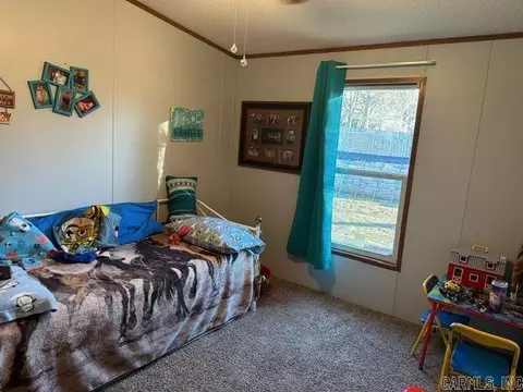 108 Bohannon Dr, Marshall, AR 72650 photo 21